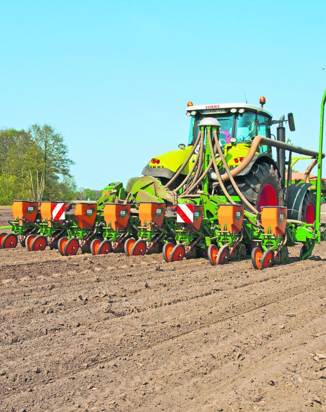 sembradora remolacha