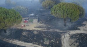 incendio forestal