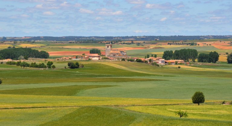 campo paisaje