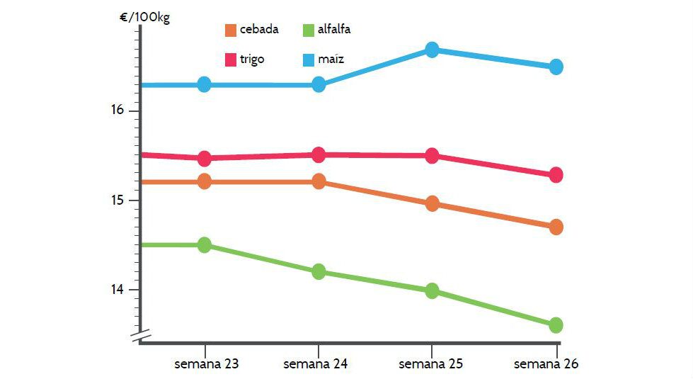 gráfico mercado castilla y leon