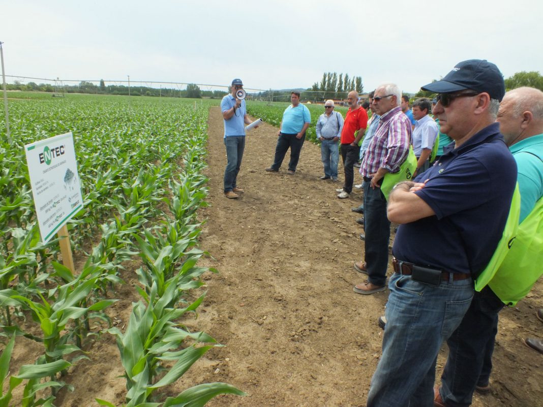 JornadaENTECViñaltaPalencia
