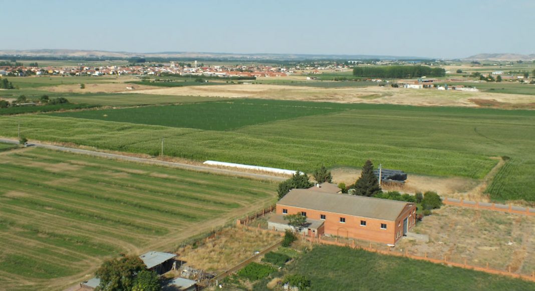 media campo