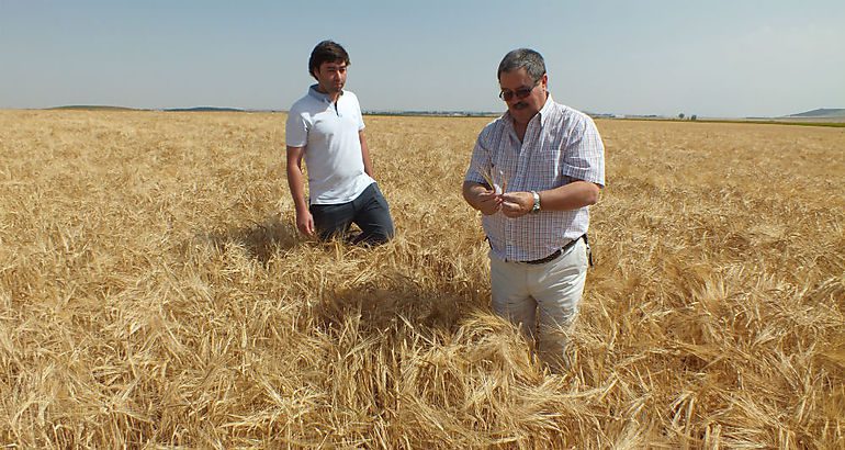 media Cecosa Semillas