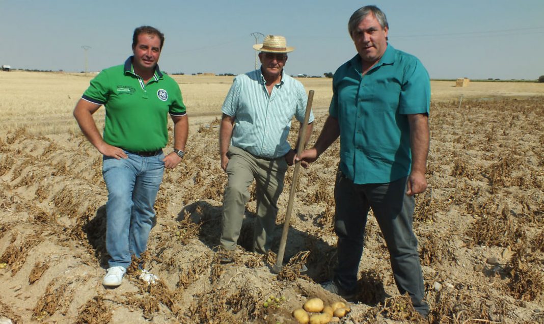 media La Carpea Carlos y Jess Navas junto a Enrique Sanz gerente de La Carpea