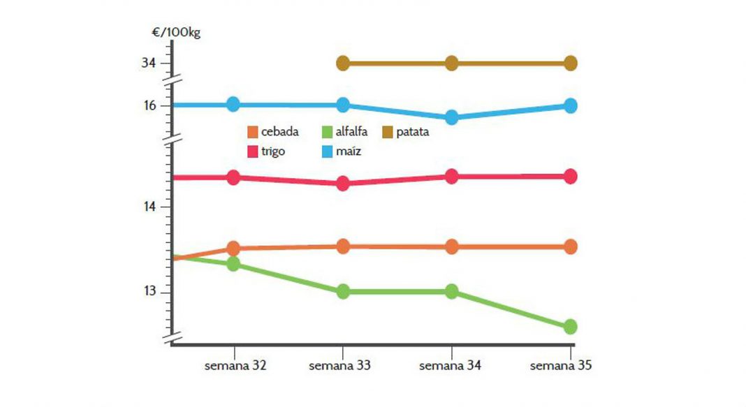 media mercado septiembre