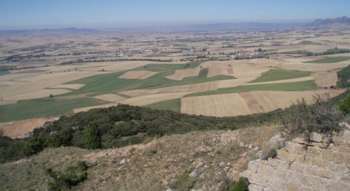 campo tierra Burgos