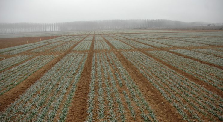 Foto jornadas enero