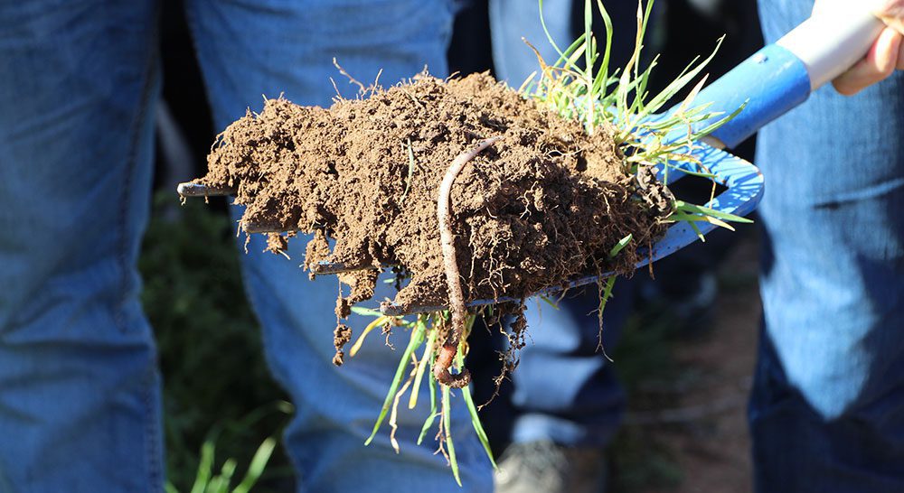 agricultura conservacion suelo