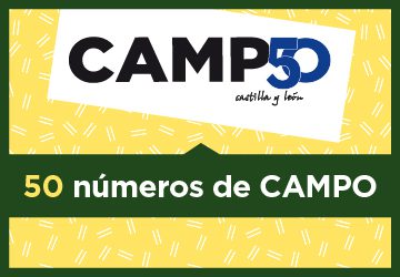 web banner campo