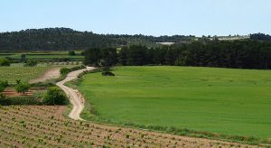 agricultura ecológica