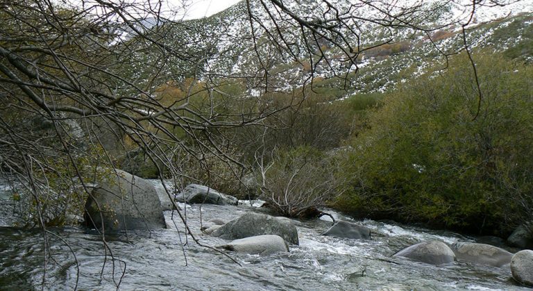 duero agua