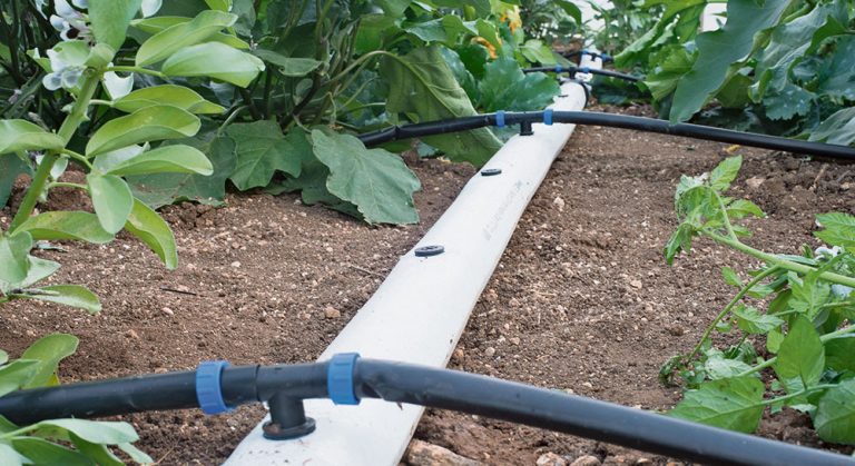 riego cultivos horticolas regaber