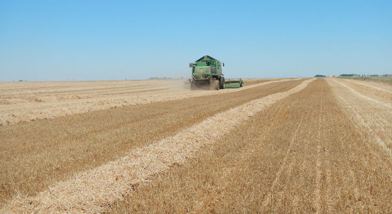 cereal cosechadora jun  valladolid