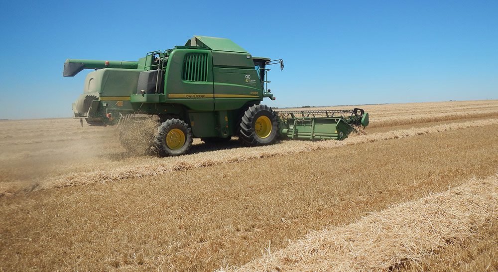 cereal cosechadora jun  valladolid