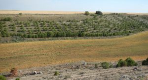 paisaje montes torozos