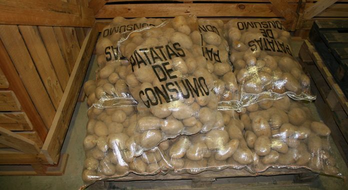 almacenamiento patata
