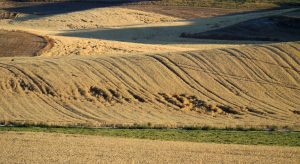 campo tierras urcacyl
