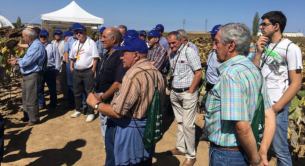 girasol visita asaja soria