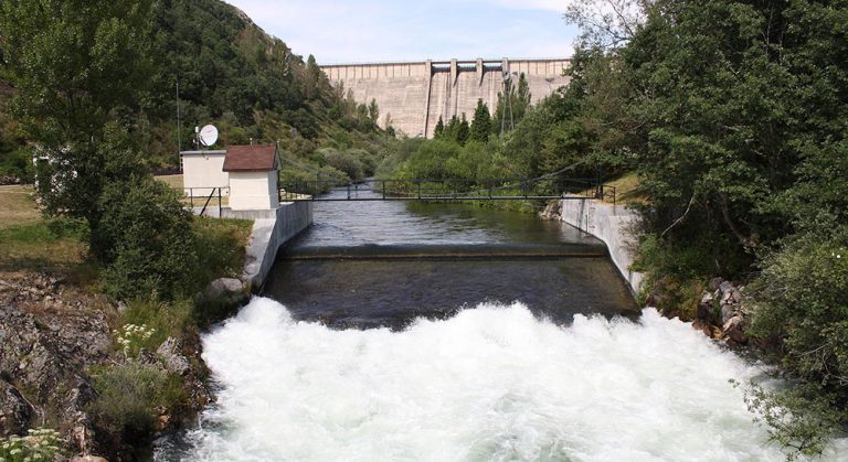 chd estacio saih embalse