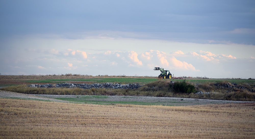 tractor grada campo