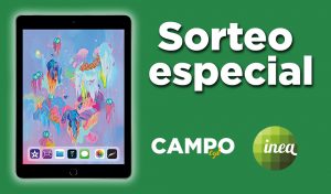 appcampo sorteo ipad