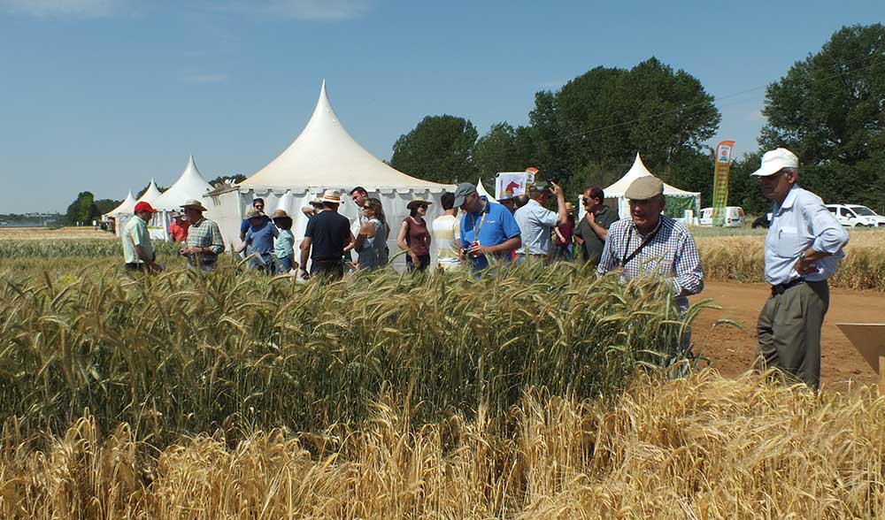 genvce jornadas campo