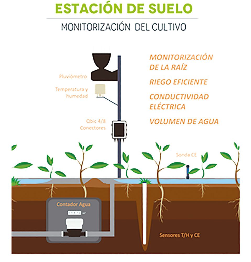 Monitorización Qampo