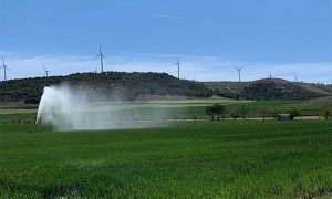 Pisuerga-Bajo Duero