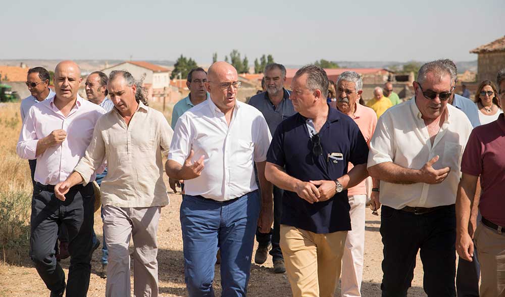 estimacion cereal carnero opa