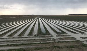 campo gomezserracin lluvia