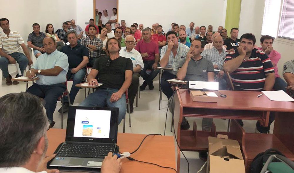 koipesol presentacion variedades colza