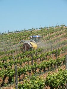 vinedo-tractor-tratamiento1