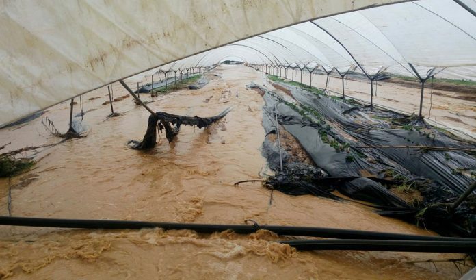 invernadero huelva inundado seguro danos