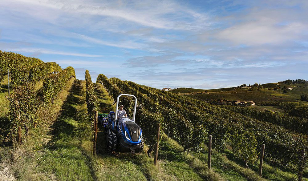 tractor vinedo