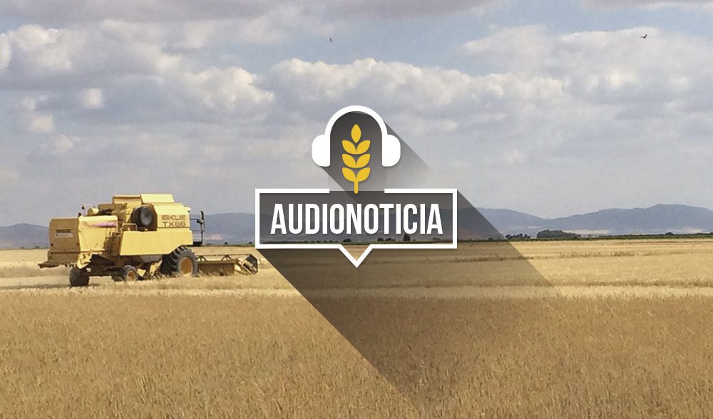 cereal cosechadora audionoticia