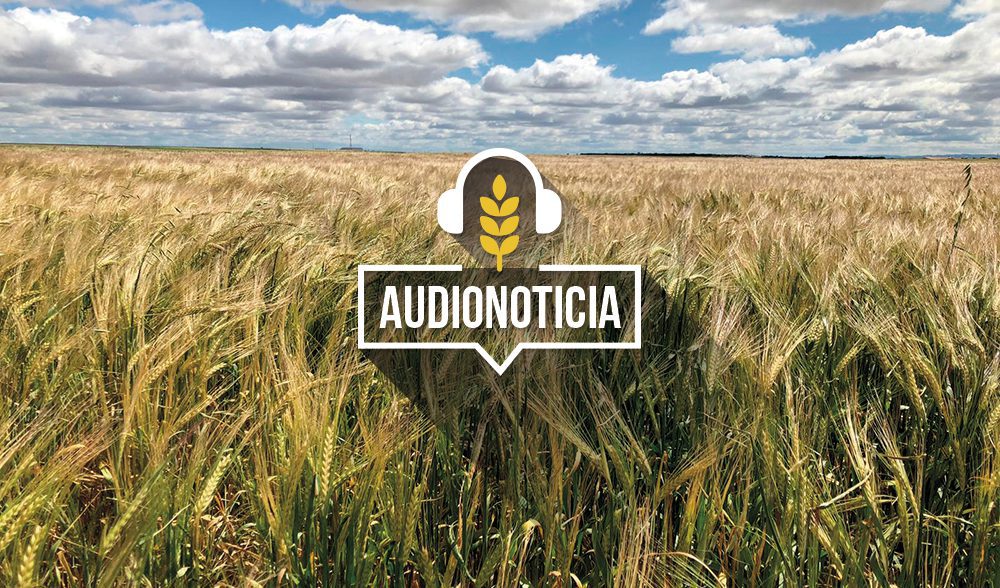 Plantilla-audionoticias