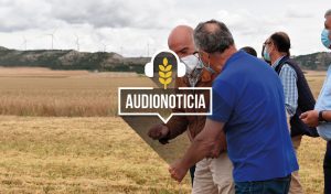 Carnero-audionoticia