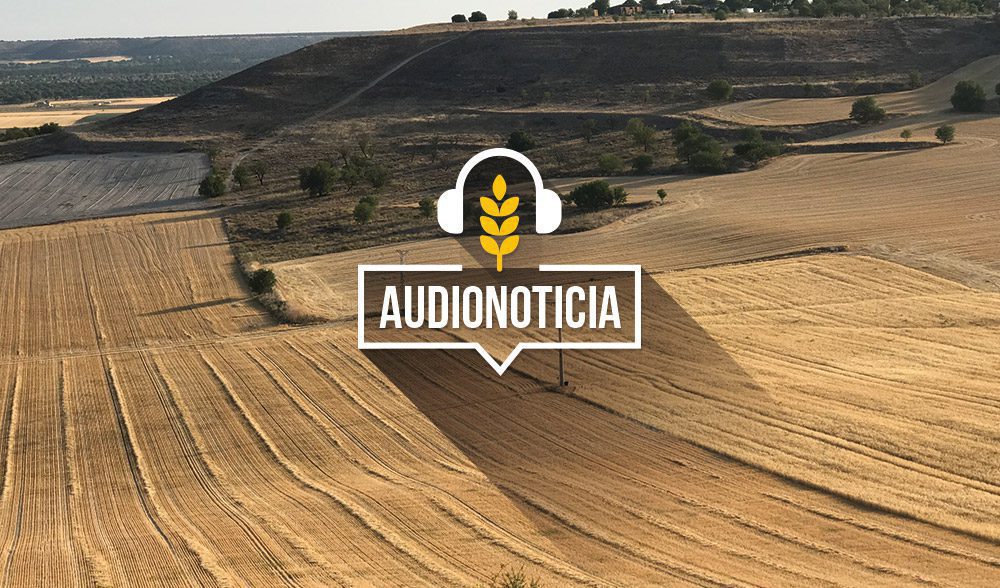 cosecha-cereal-parcelas-audionoticia