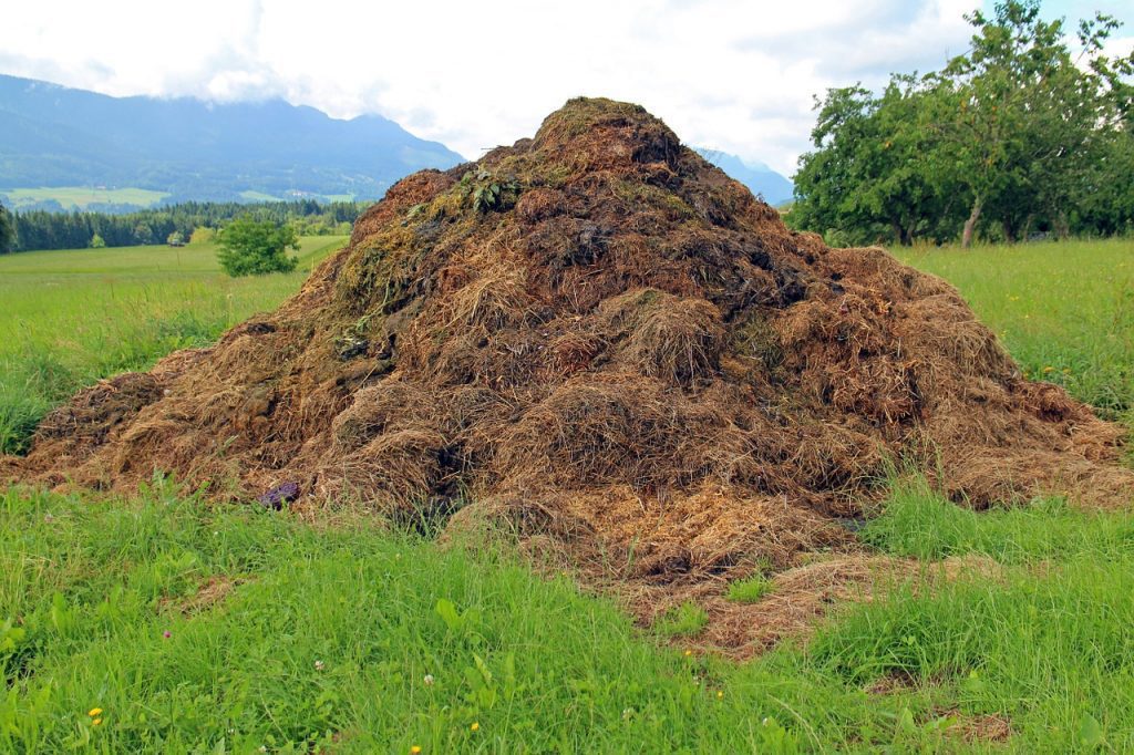 estiercol fertilizacion abono abonado