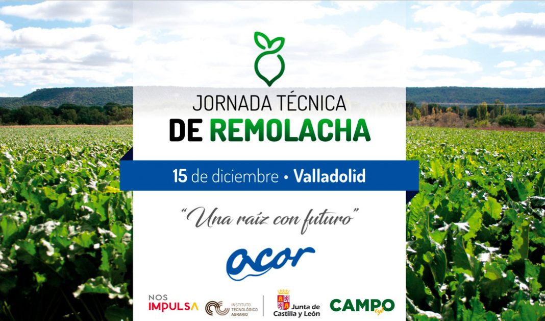 jornada-acor
