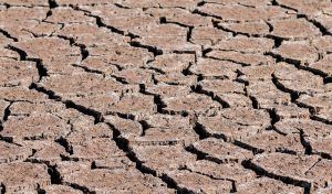 sequía