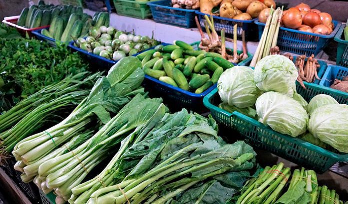 hortalizas-hortícolas