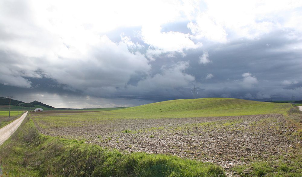 cultivos, paisaje