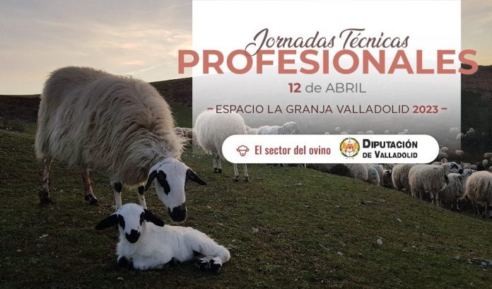 Jornada técnica profesional del ovino Valladolid La Granja