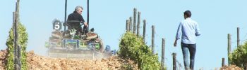 demostracion viñedo