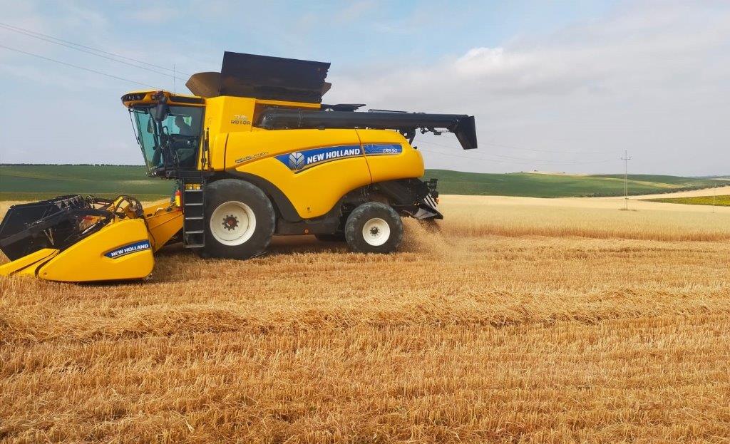 new holland cosecha