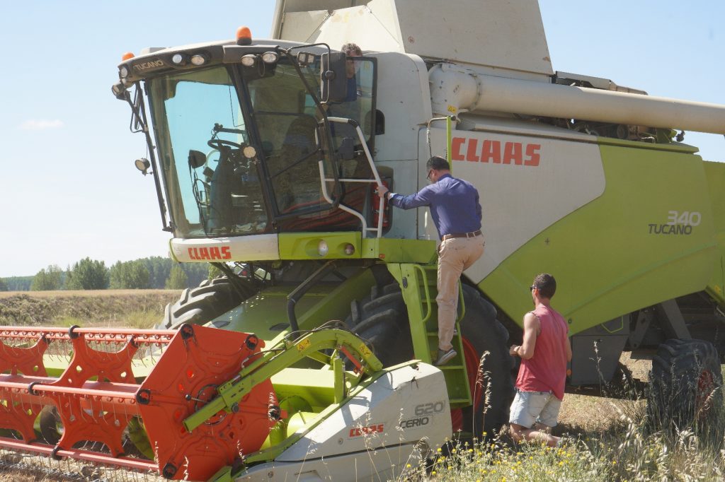 claas