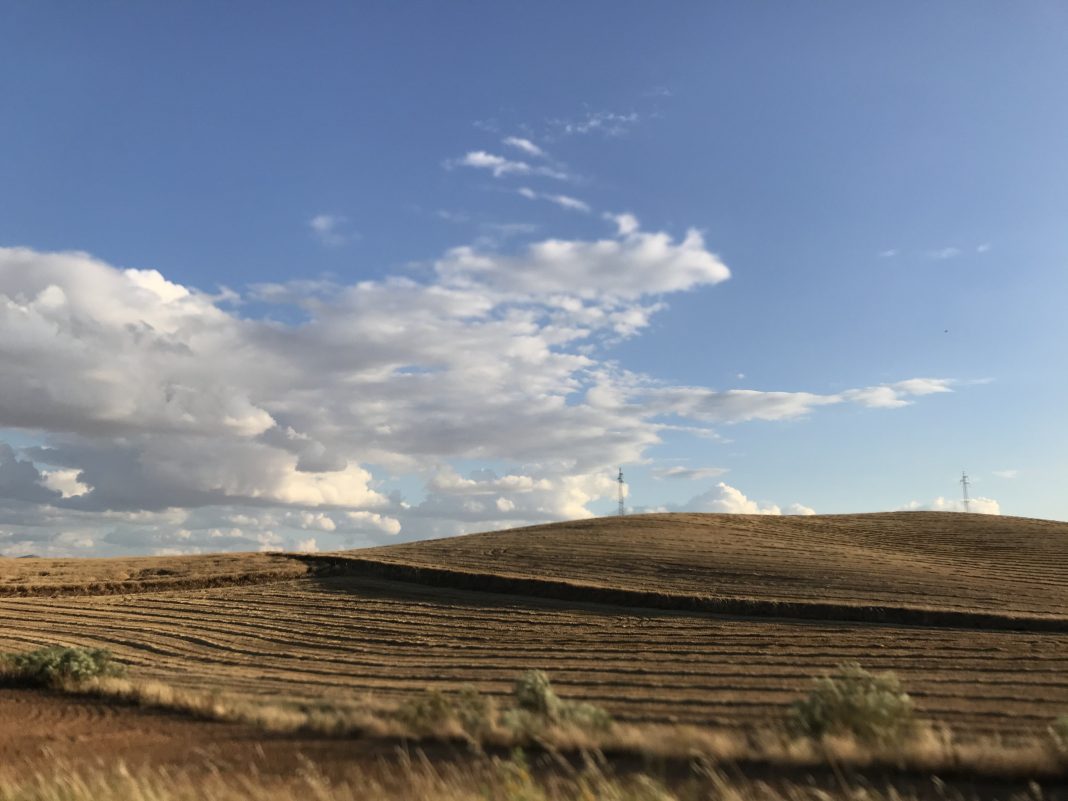 campo_cereales