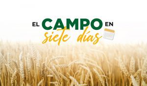 El campo en siete días