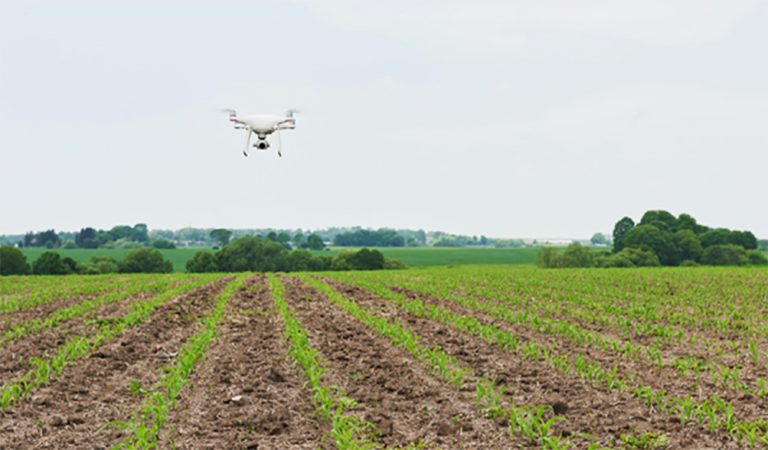 dron i+d agricultura tecnologia innovacion